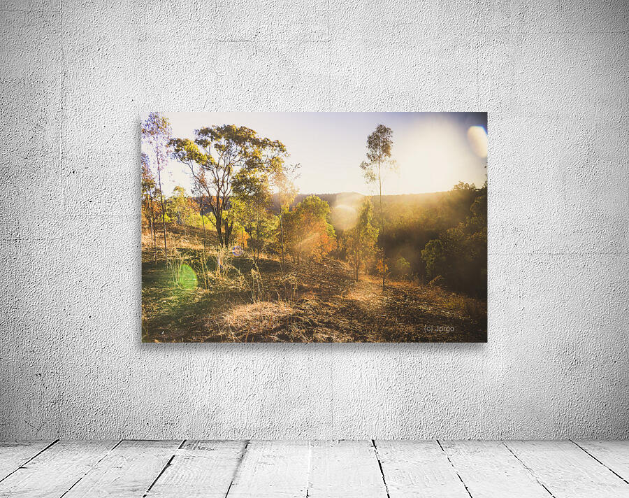 Flares And Fades Wall Preview