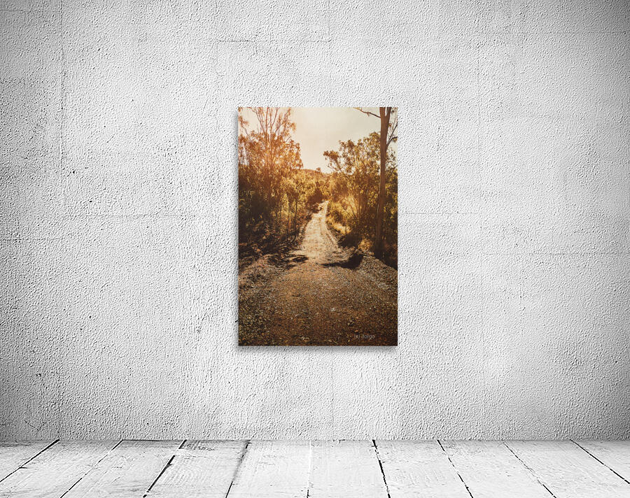 Sunflare Thoroughfare  Wall Preview