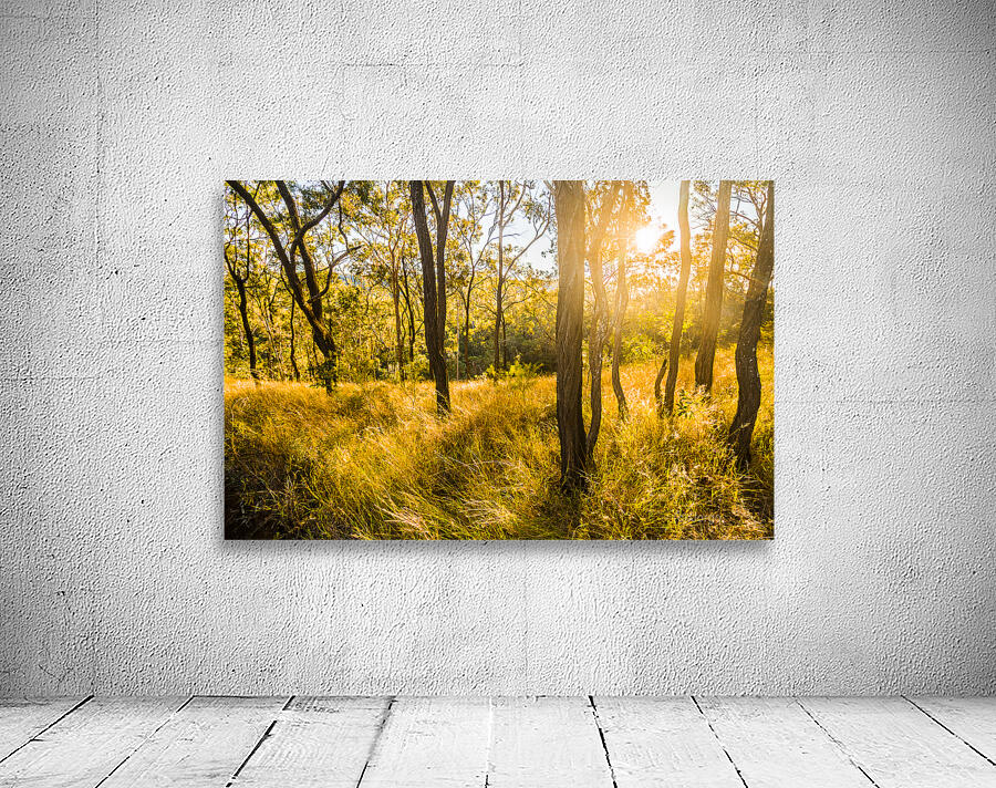 Grasslands Golden Wall Preview