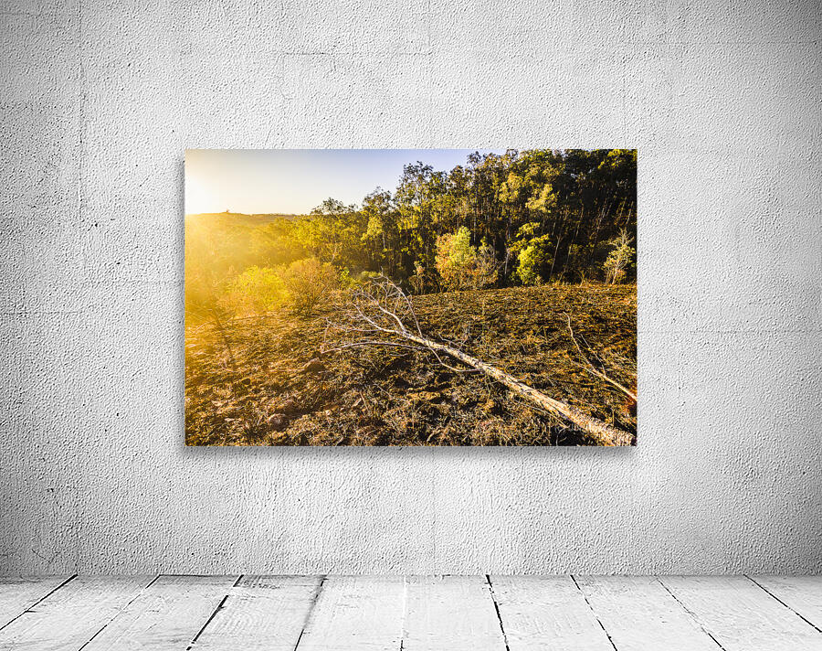 Awash In Sundown Wall Preview