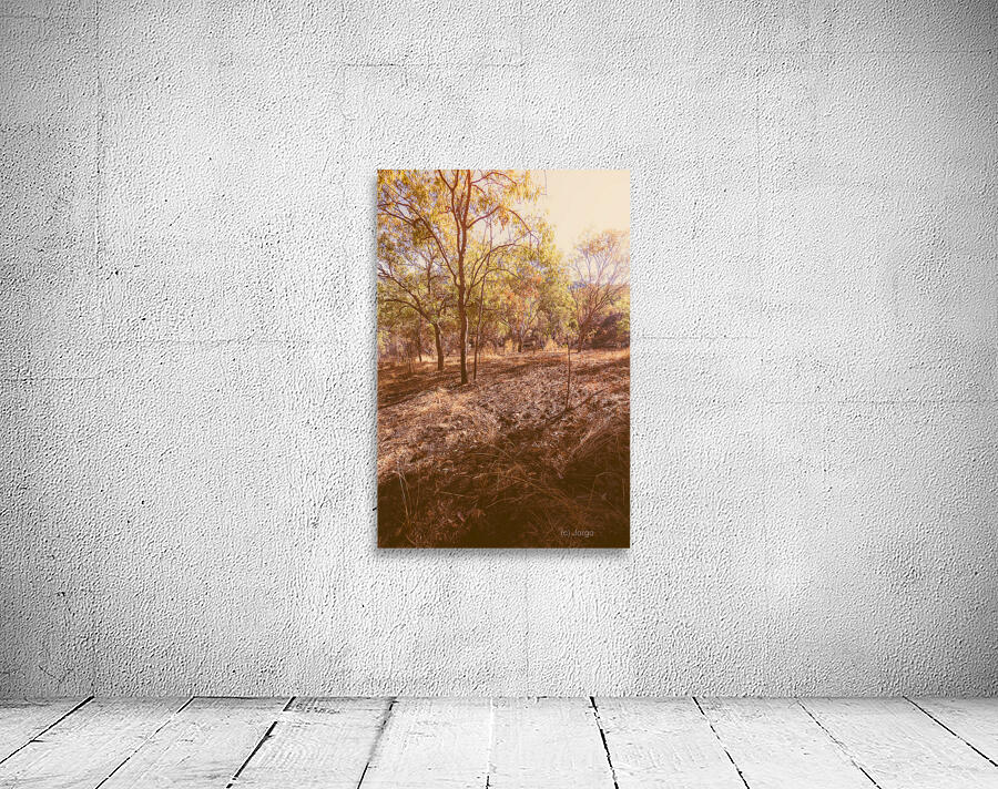 Afternoons Afterglow Wall Preview