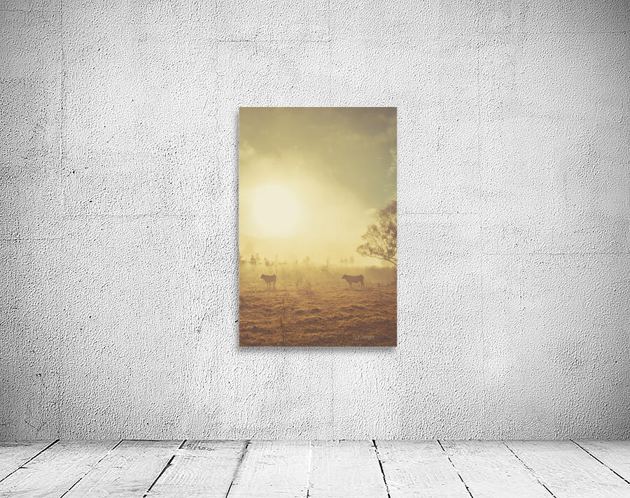 Crisp Country Wall Preview