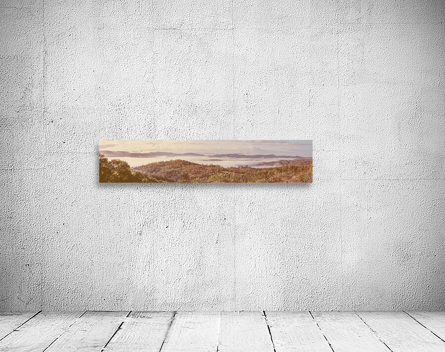 Misty Wonders Wall Preview