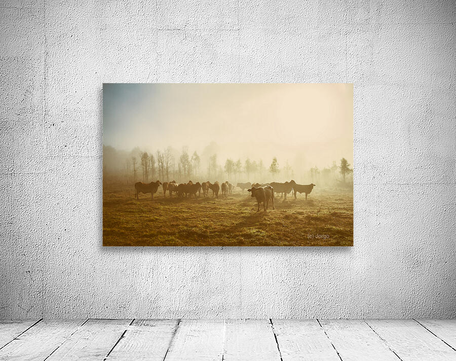 Foggy Farm Wall Preview