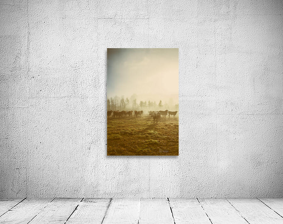 Cow Country Wall Preview