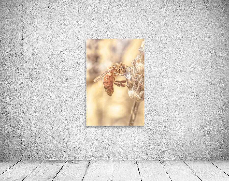 Summery Bee Wall Preview