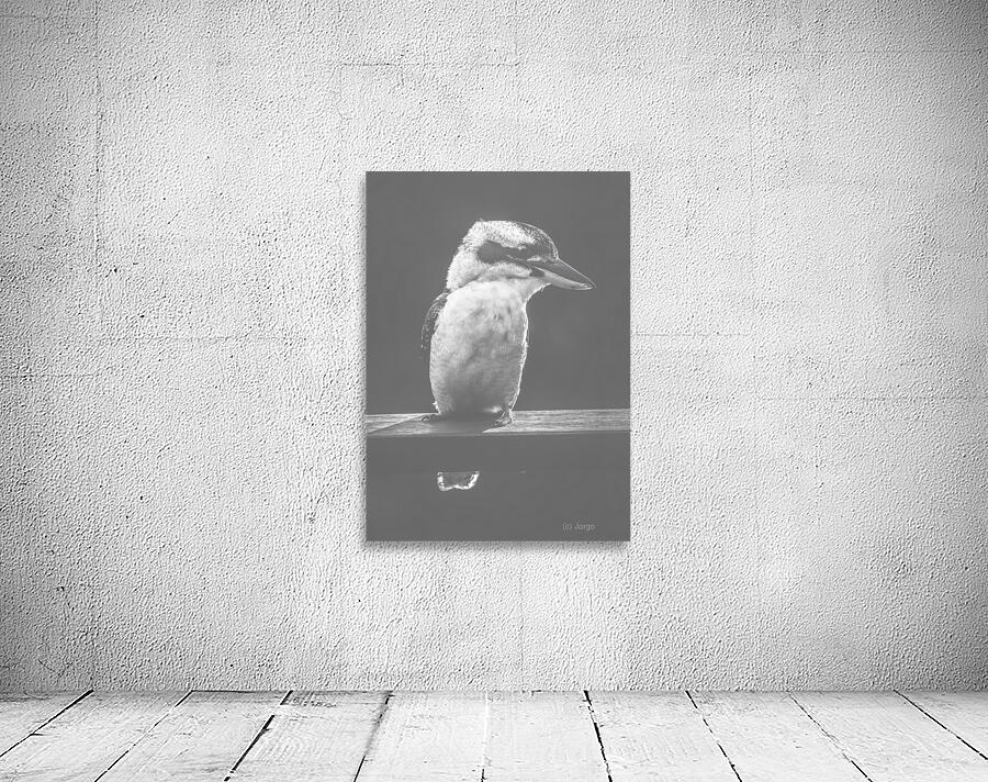 Bushy Smile Wall Preview