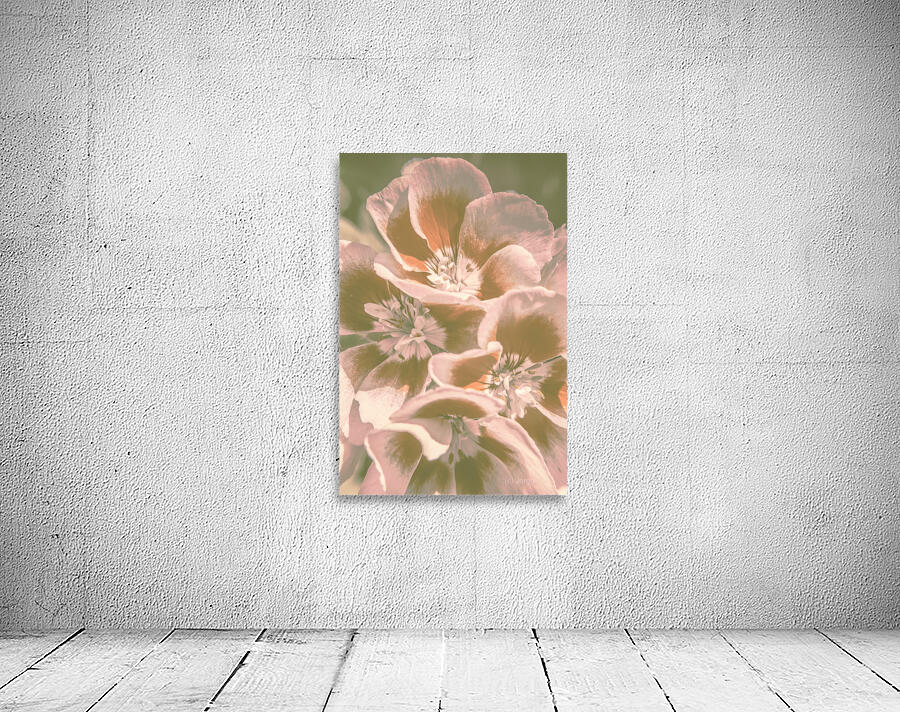 Geranium Wash Wall Preview