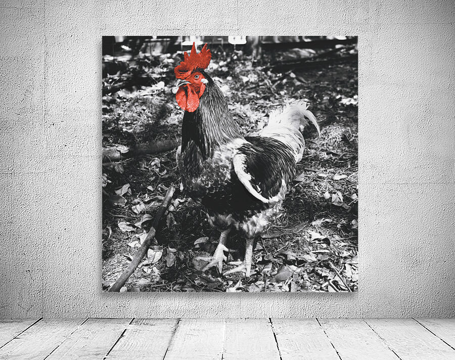 Red Rooster Wall Preview