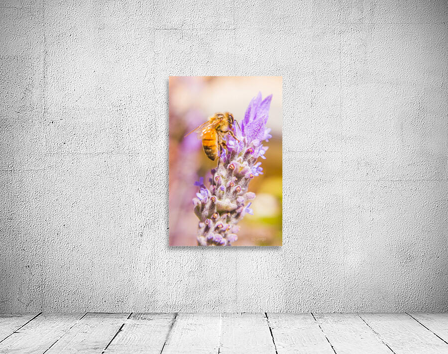 Busy Bee Wall Preview