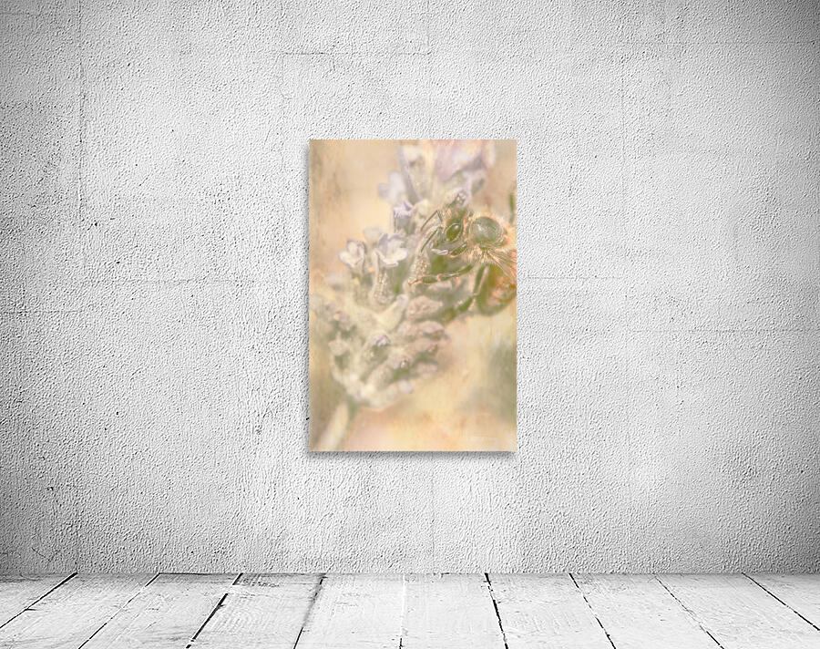 Honeybee Summers Wall Preview