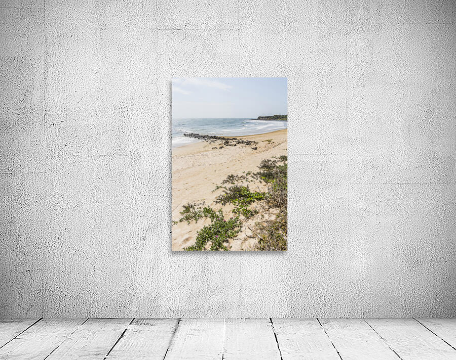 Queensland Calm Wall Preview