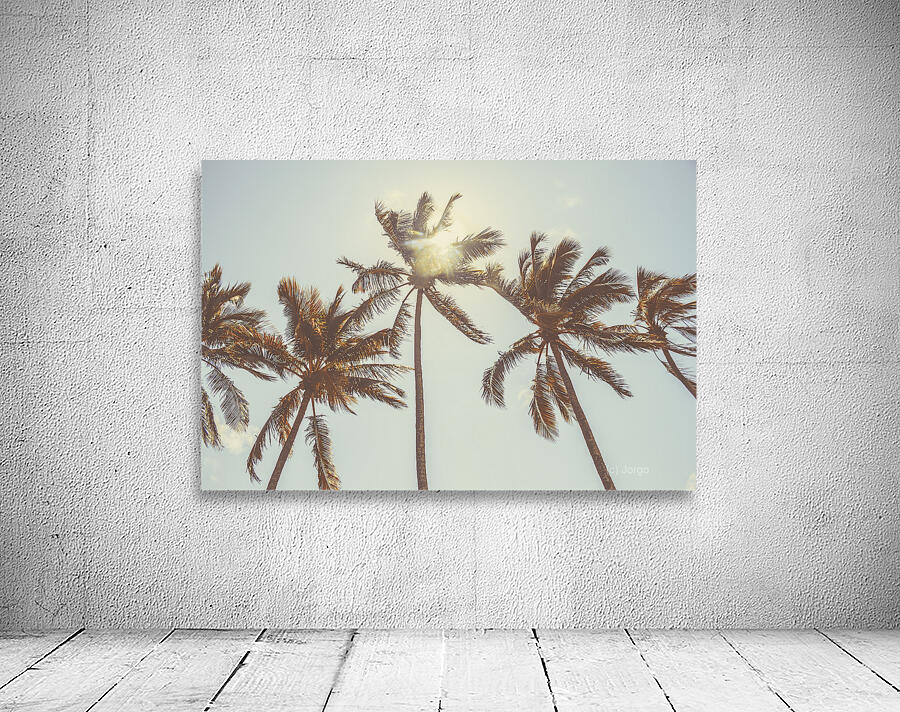 Palmy Summers Wall Preview