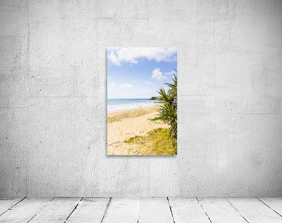 Bargara Beach Bliss Wall Preview