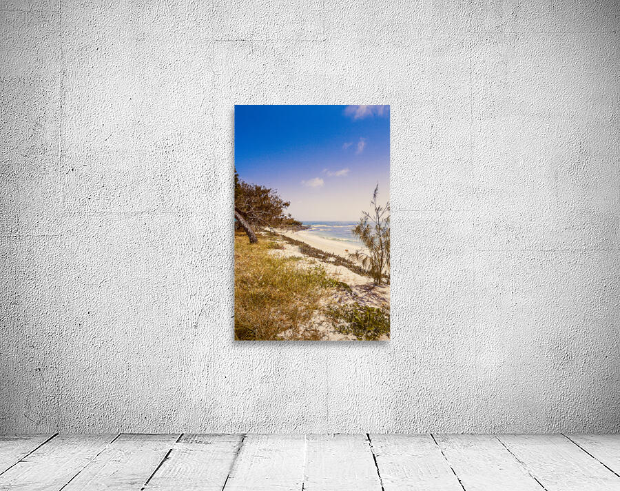 Paradise Pastel Wall Preview