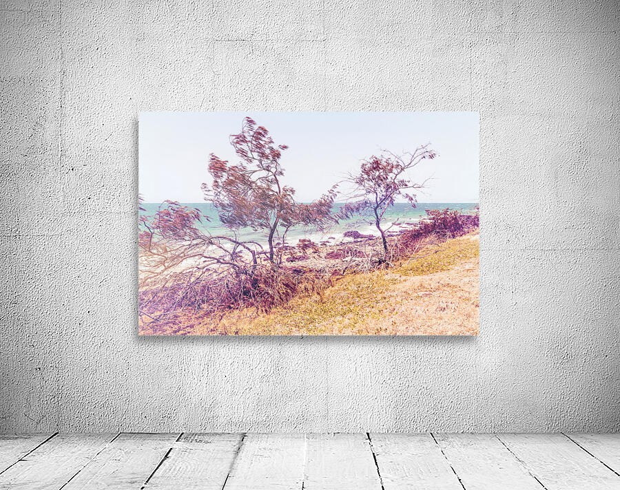 Breezy Coastal Retroism Wall Preview