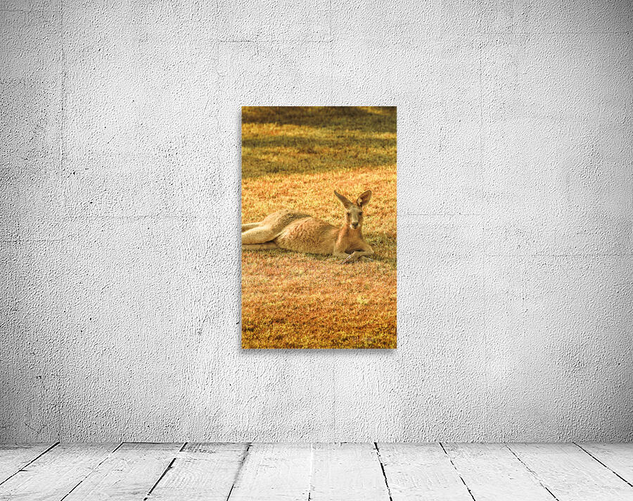 Australian Lawn Mower Wall Preview