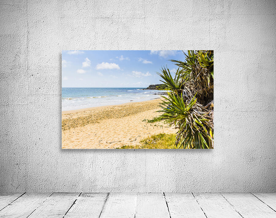 Beyond The Palms Wall Preview