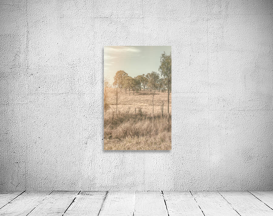 Warm And Rustic Wall Preview