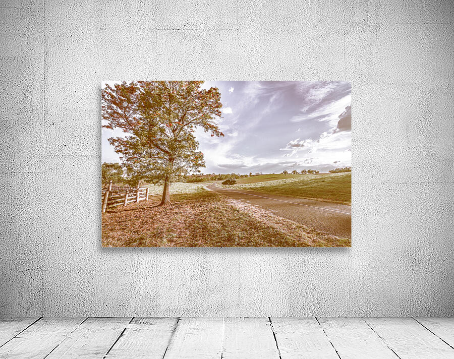 Acacia Avenue Wall Preview