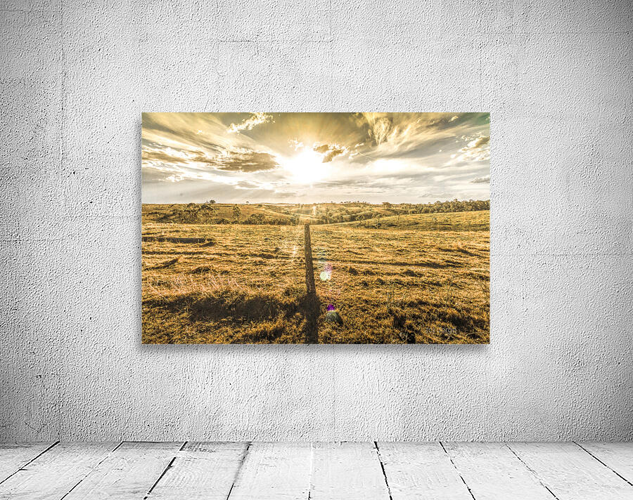 Golden Light Wall Preview