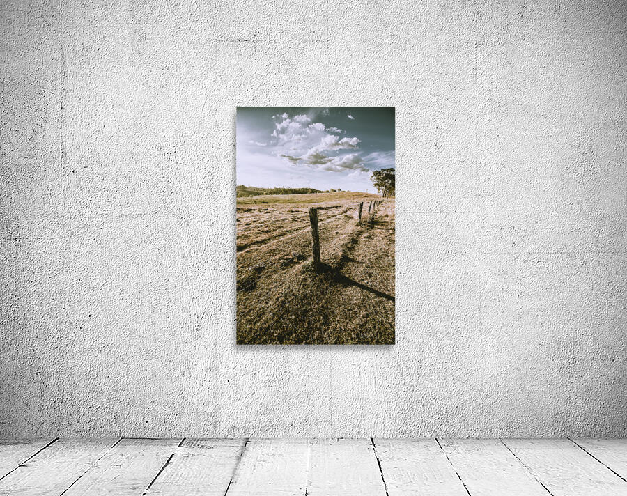 Borderlines Wall Preview