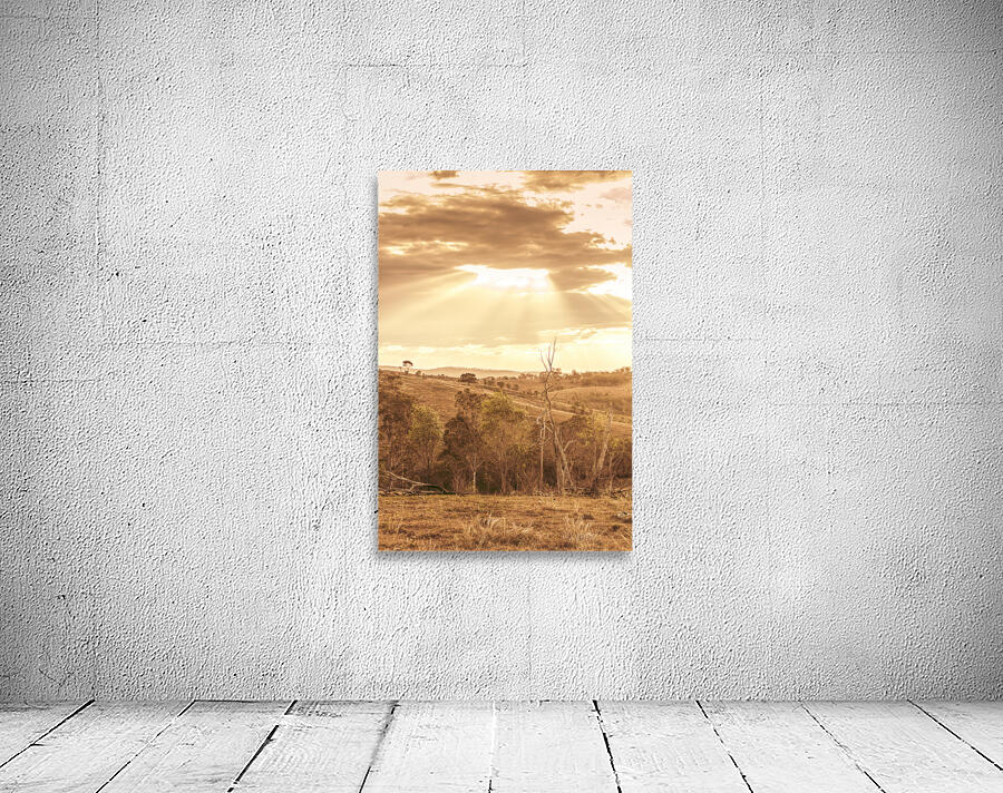 Mount Perry Gold Wall Preview