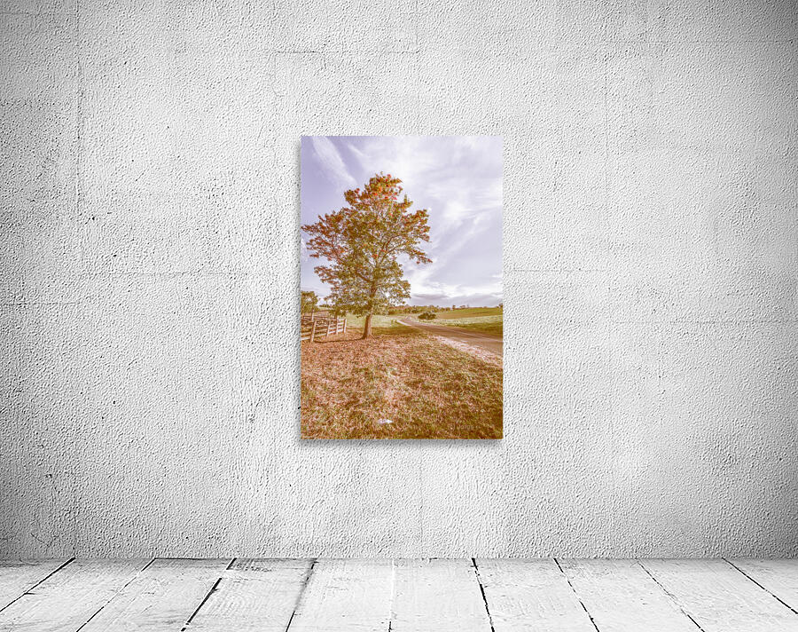 Golden Wattle Lane Wall Preview