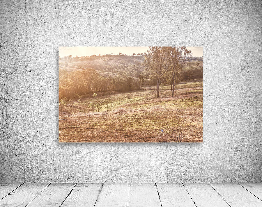 Country Harmony Wall Preview