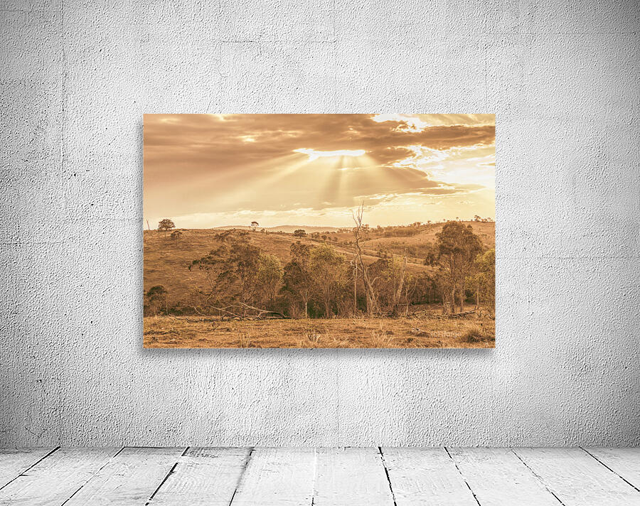 Gold Country Wall Preview