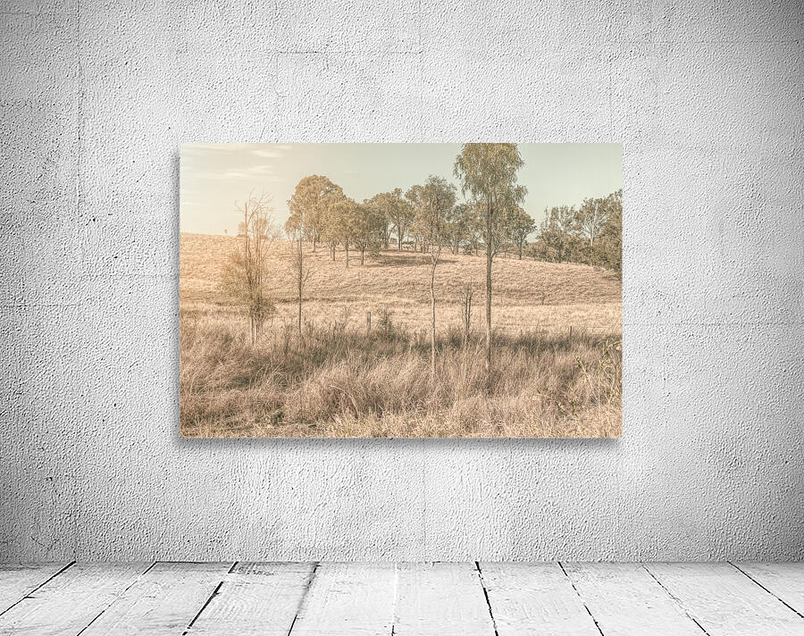 Muted Outbacks Wall Preview