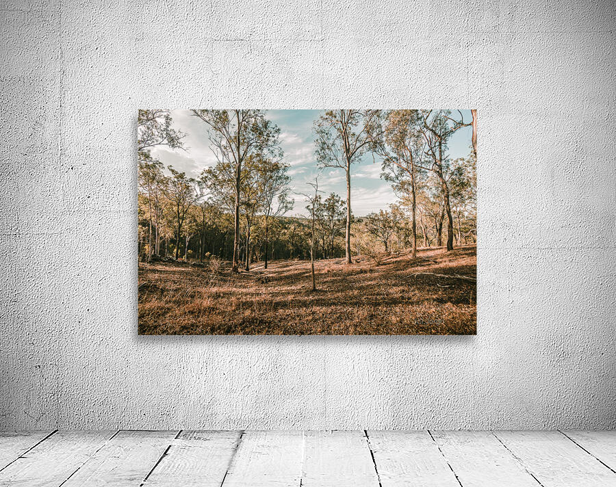 Beauty And Rusticity Wall Preview