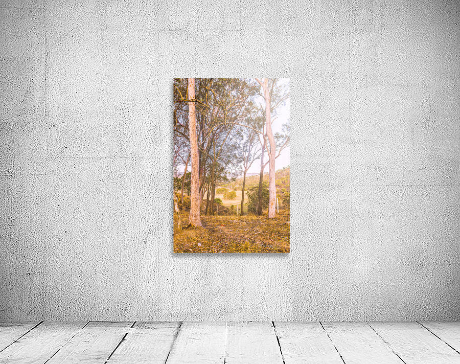 Elevated Country Outlook Wall Preview