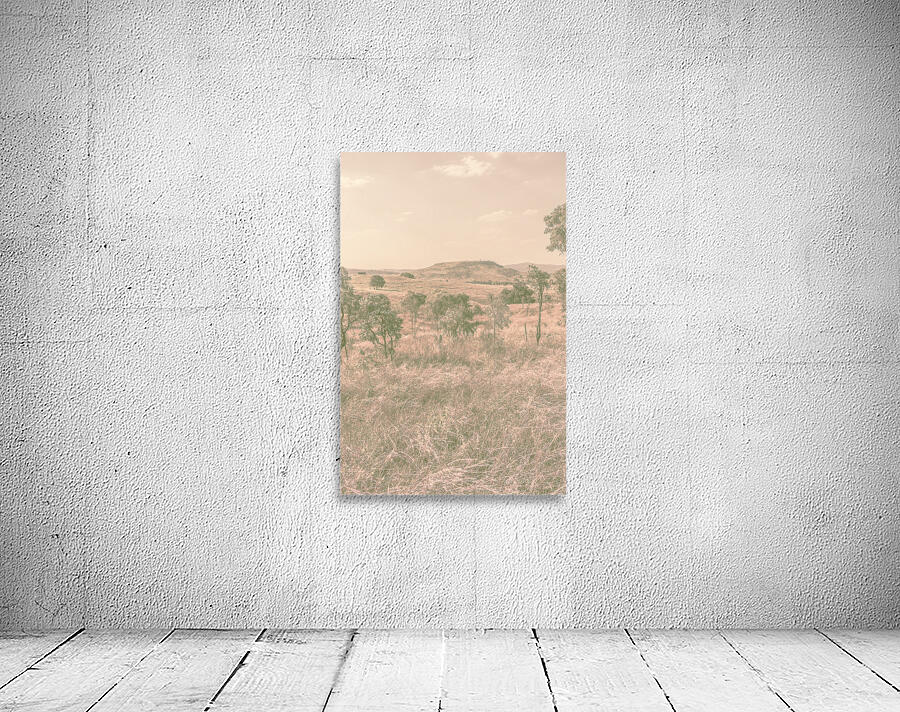 Backcountry Calm Wall Preview