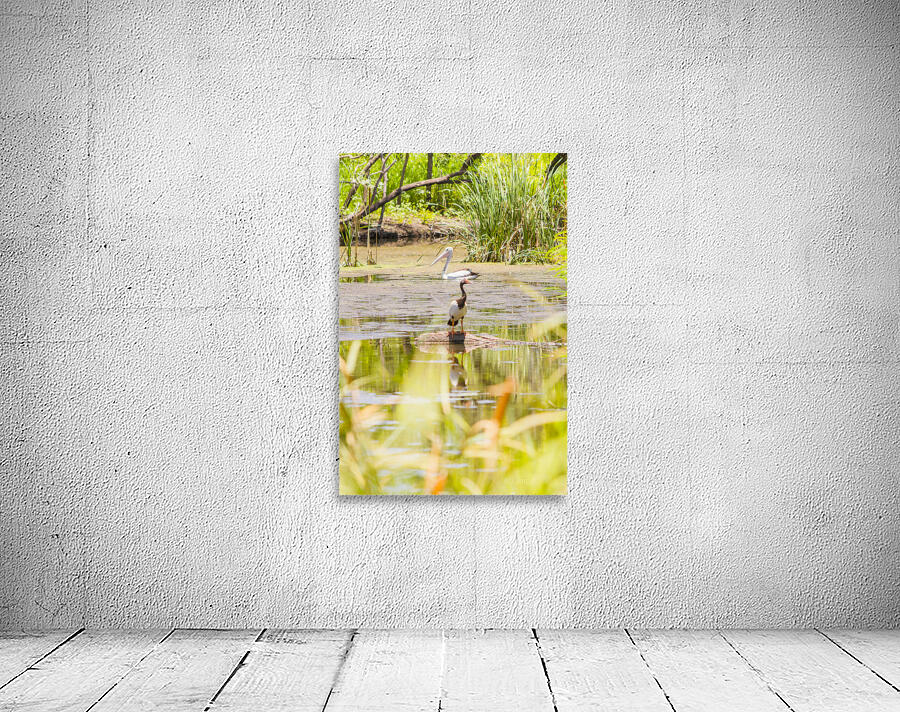 Ban Ban Springs Wall Preview