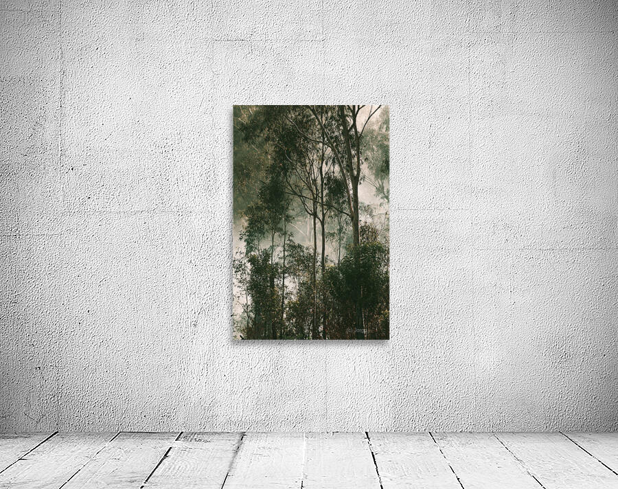 Woodland Dramatics Wall Preview