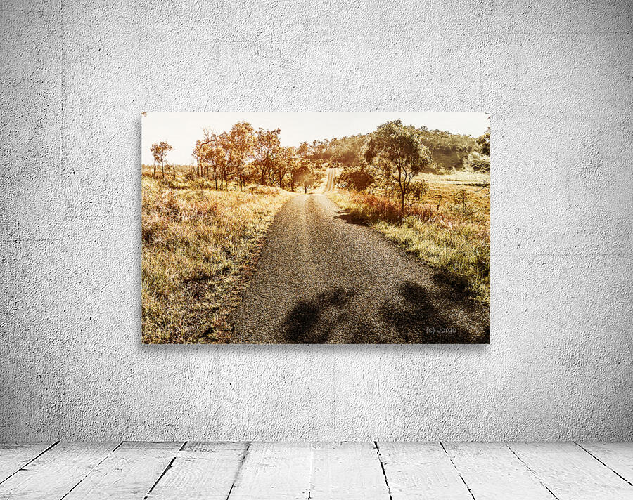 Summer Escape Wall Preview