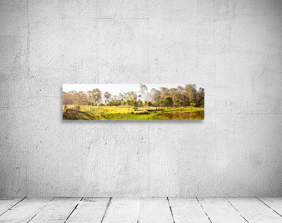 And Summer Dreaming. Wall Preview