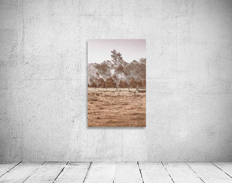 Misty Beauty Wall Preview