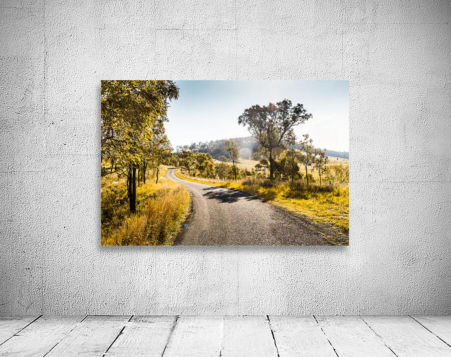 Summer Gold Wall Preview