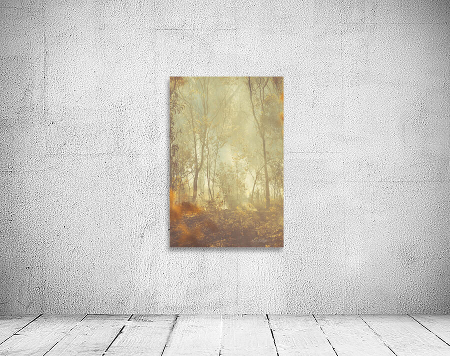 Mystified Wall Preview