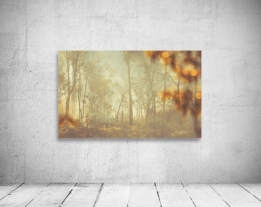 Wild Vagueness Wall Preview