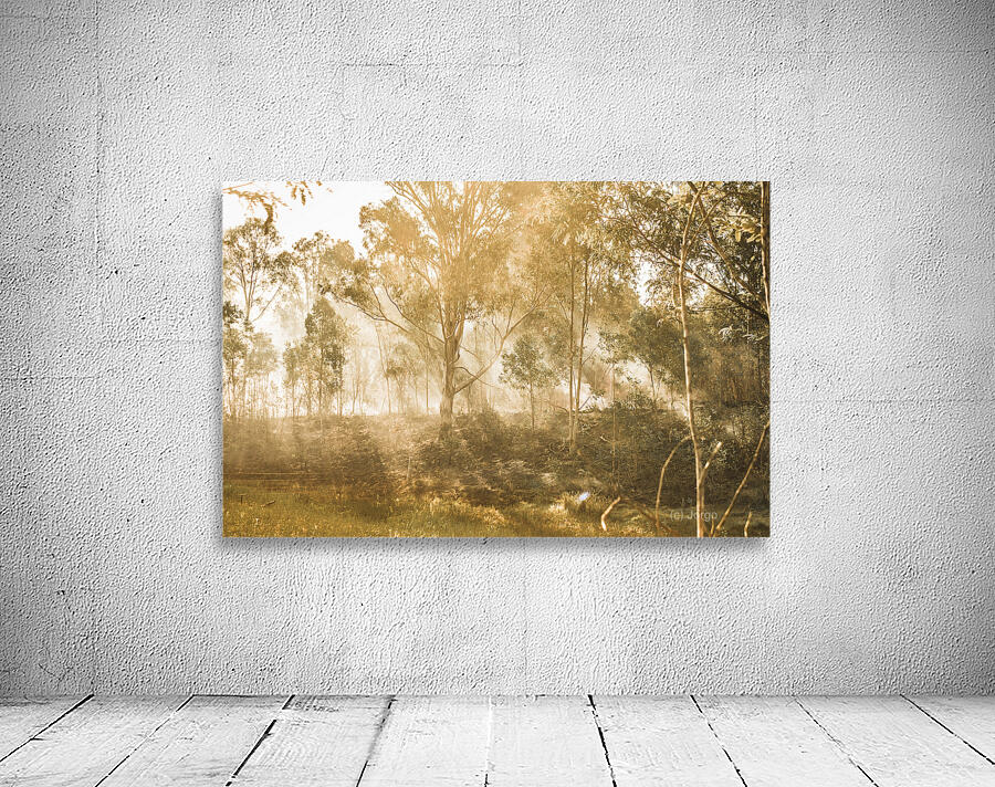 Branch Creek Magic Wall Preview