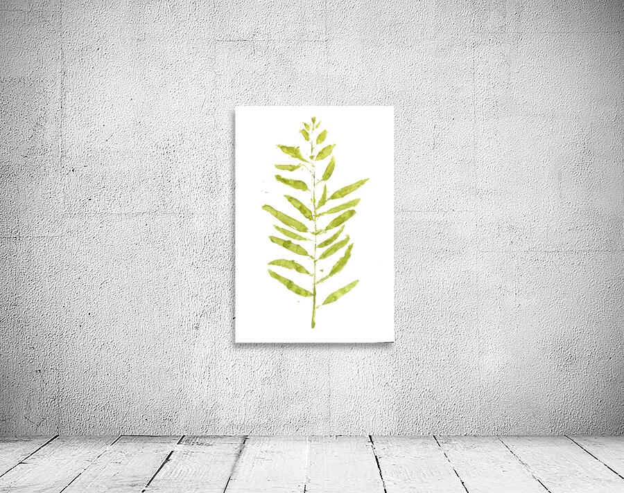 Painted Gum Wall Preview