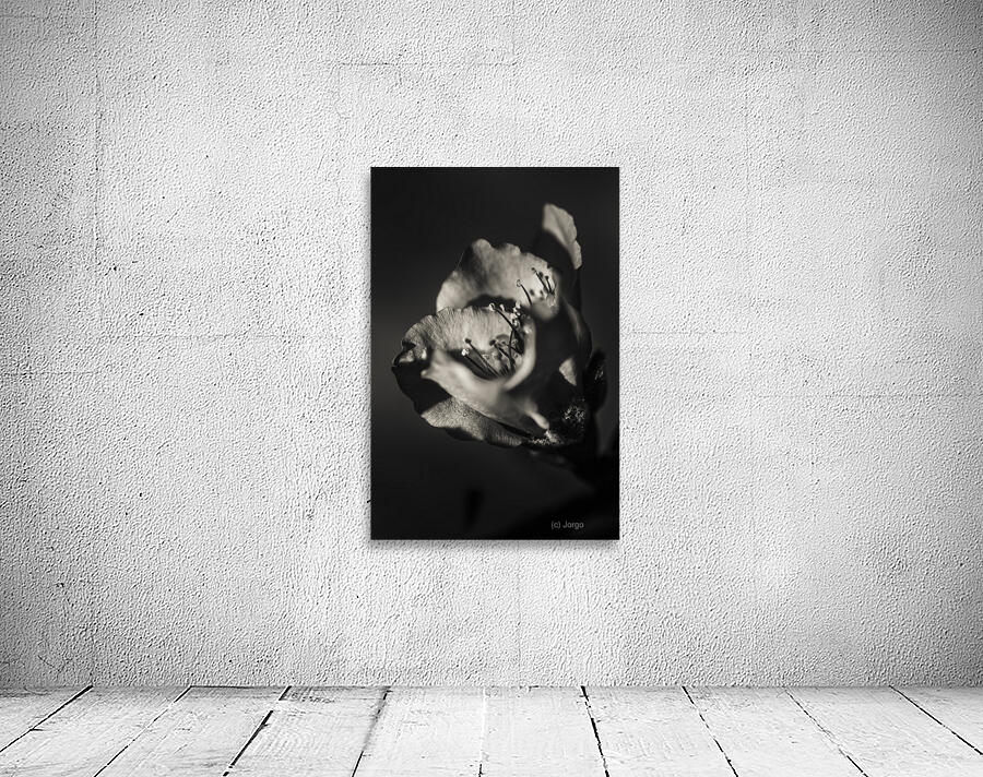 Beauty And Atmosphere Wall Preview