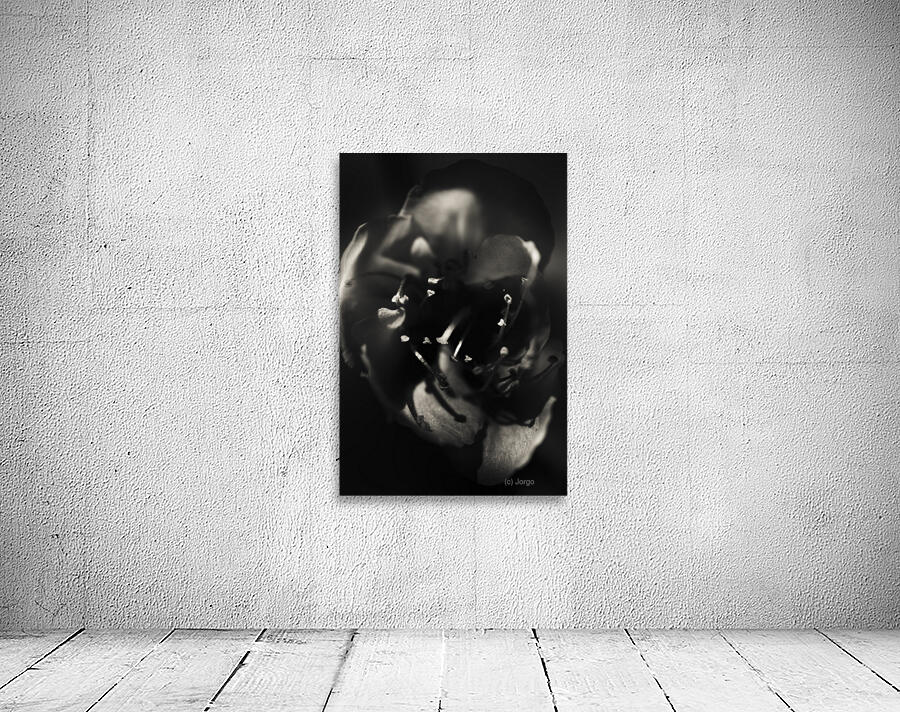 The Closeness Wall Preview