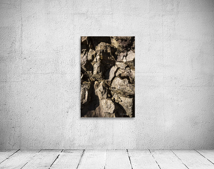 Depths And Details Wall Preview