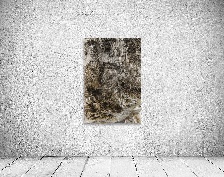 Shaped By Weather And Time Wall Preview