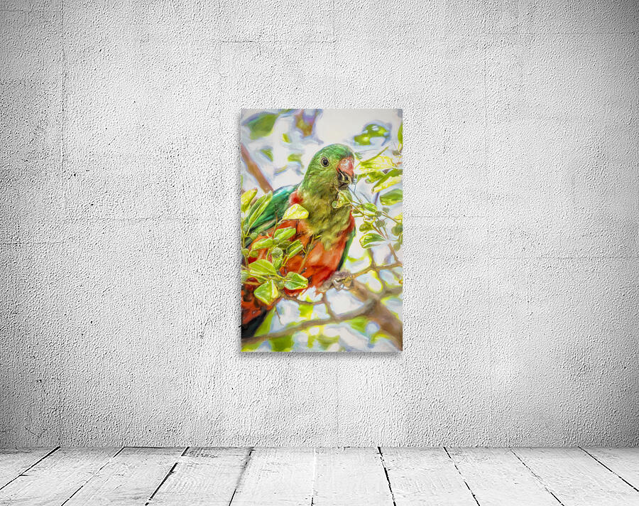  Australian King Parrot Wall Preview