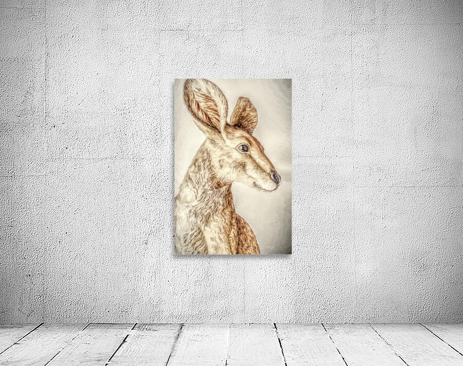 Golden Kangaroo Wall Preview